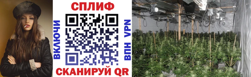 Купить закладку COCAIN  Меф  ГАШИШ  Амфетамин  Конопля  Волчанск