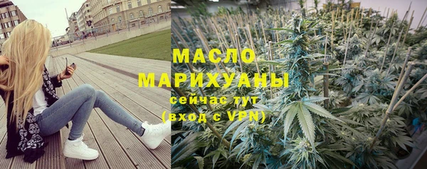 индика Богданович