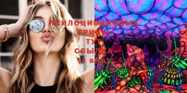индика Богданович