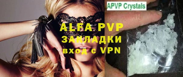 индика Богданович