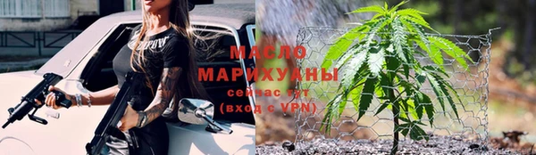 индика Богданович