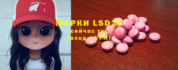 ПСИЛОЦИБИНОВЫЕ ГРИБЫ Сосновый Бор
