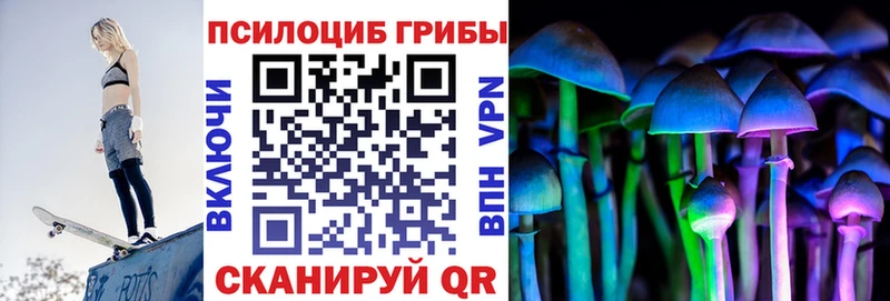 Галлюциногенные грибы мицелий  Купить закладки  Волчанск 