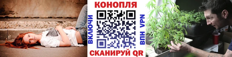 Марихуана сатива Волчанск